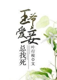 王爷 妾身很忙的