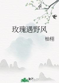 玫瑰遇野风柚栩TXT百度