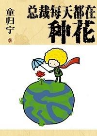 总裁每天都在装偶遇全文免费阅读