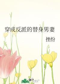 穿成反派的替身妻 穿书