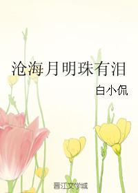 沧海月明珠有泪完整版