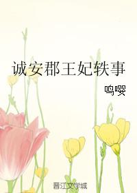 安成郡是现在什么地方