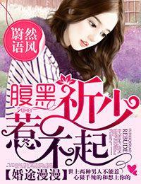 婚途漫漫简介