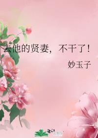 去他的贤妻不干了全文免费阅读