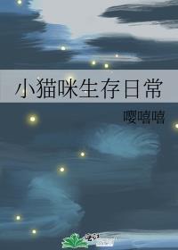 小猫咪生存日常视频大全
