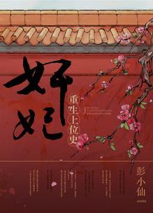 重生宫妃上位记 如鱼花落