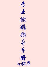 专业撒糖指导手册资源
