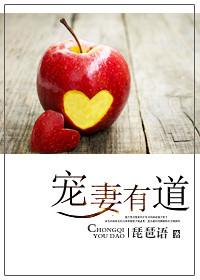 宠妻有术九斛珠讲的什么