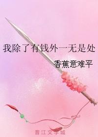 我除了有一些钱以外我什么都没有