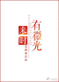 来时有微光 晋江