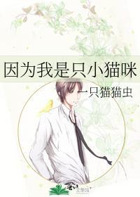 因为我他妈是小猫咪