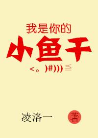 我是小鱼儿完整版