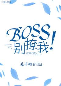 boss别闹广播剧