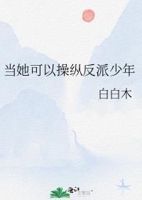 当她可以操纵反派少年免费阅读