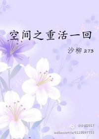 空间之重活一回txt微盘