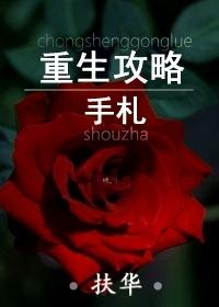 重生攻略手札扶华TXT