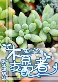 末世重生之木系异能
