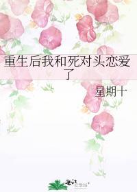 重生后我和死对头he了免费阅