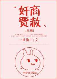 红楼梦贾政贾赦贾的关系