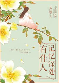 记忆深处有佳人苏鎏txt