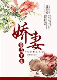娇妻养成手札