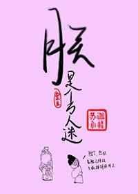 朕是个万人迷百度