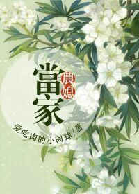 农媳免费阅读