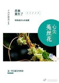 3心尖菟丝花by十六月西瓜