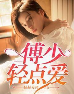 傅少免费阅读全文