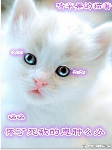 怀了死对头的崽以后(娱乐圈) 长河不落月