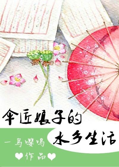 伞匠娘子的水乡生活讲的什么