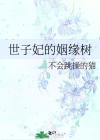 世子妃系列