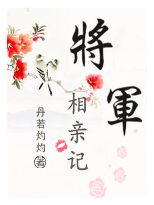 将军约