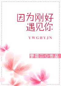 因为刚好遇见你是什么歌曲的歌词