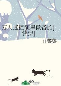 我的人鱼老婆动漫在线观看免费