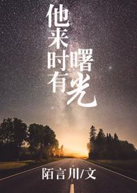 他来时有曙光无删减