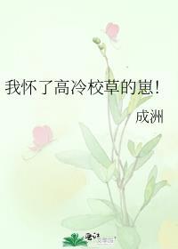 我怀了高冷校草的崽!讲了什么