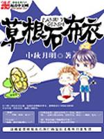 草根石布衣TXT精校版 迅雷