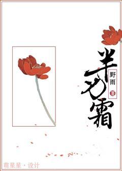 半刃霜讲什么