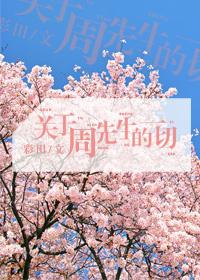 关于周先生的故事