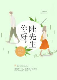 你好陆医生在线阅读