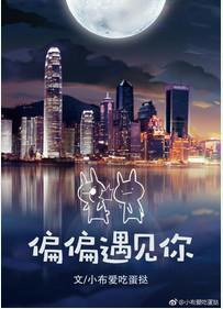 偏偏遇见你电视剧