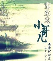 重生为小哥儿by