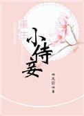 重生小妾去种田