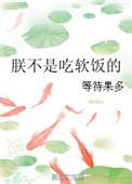朕不是皇上写的