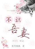 不识吾子何以知之怎么翻译