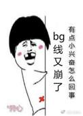 言情线又崩了无防盗