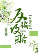 反骗攻略快穿未防盗版本