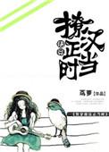 撩汉那些事