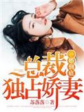 一婚到底暖妻宠上瘾